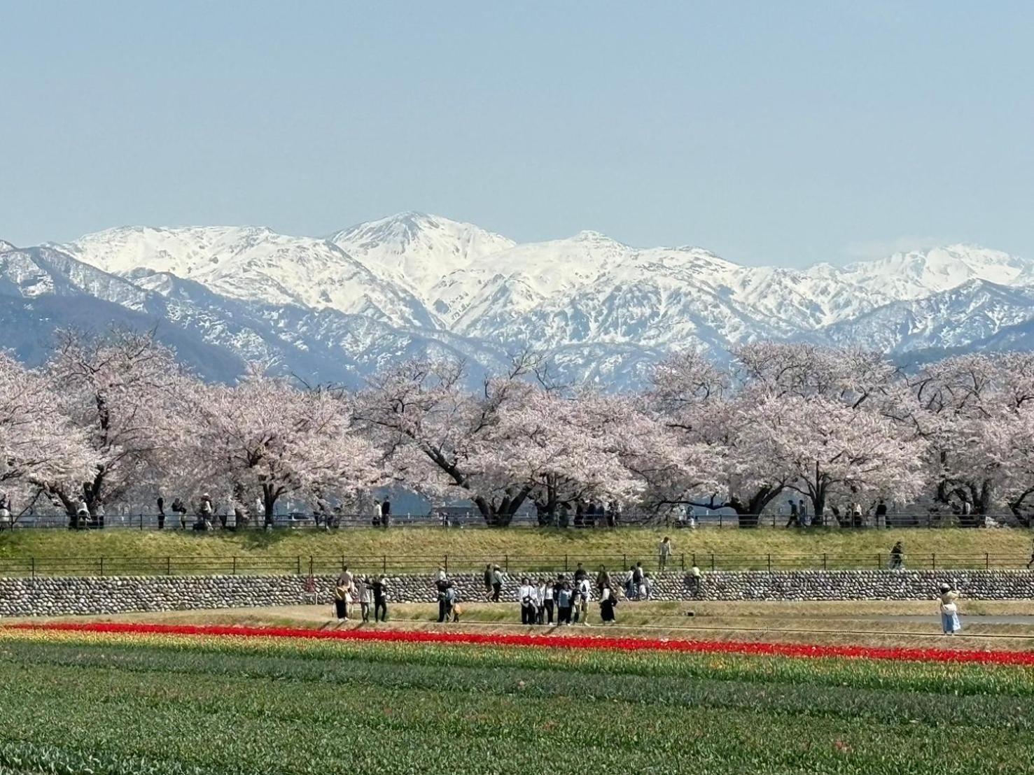 ヨーコのお宿 わくわく Toyama Station Exterior photo