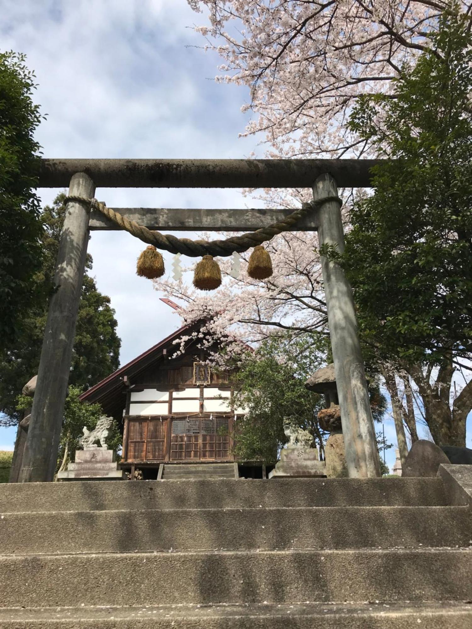 ヨーコのお宿 わくわく Toyama Station Exterior photo
